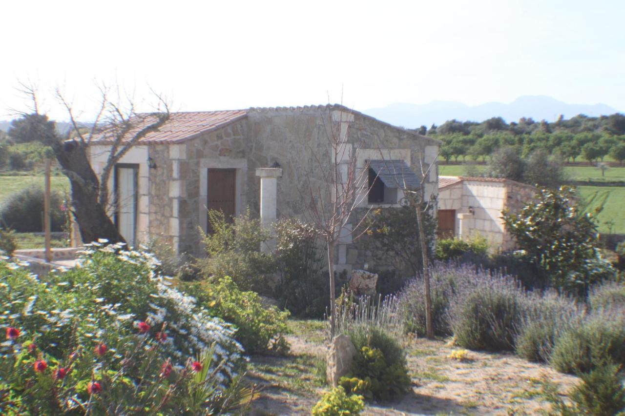 María de la Salud Agroturisme Es Raco De Maria מראה חיצוני תמונה