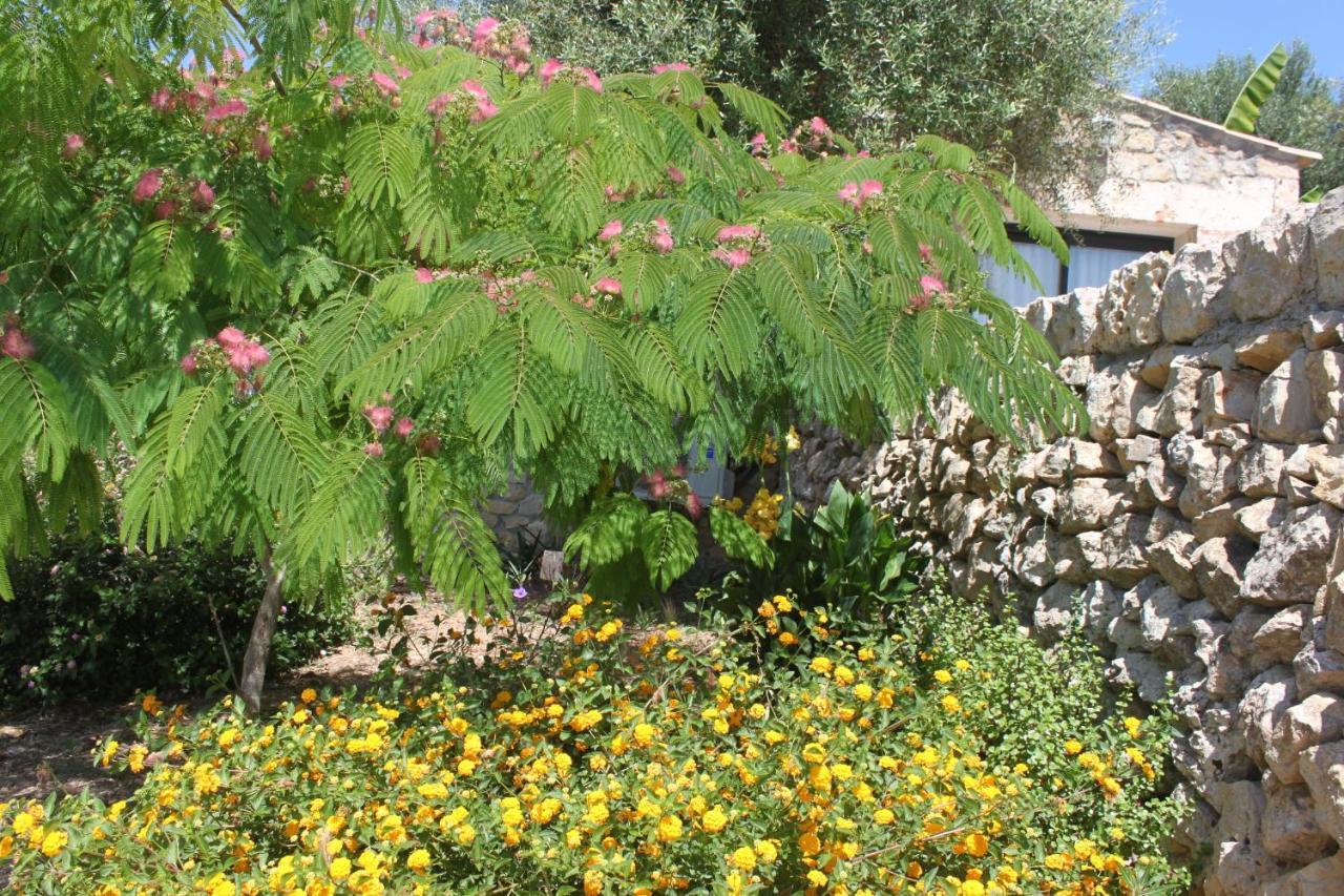 María de la Salud Agroturisme Es Raco De Maria מראה חיצוני תמונה