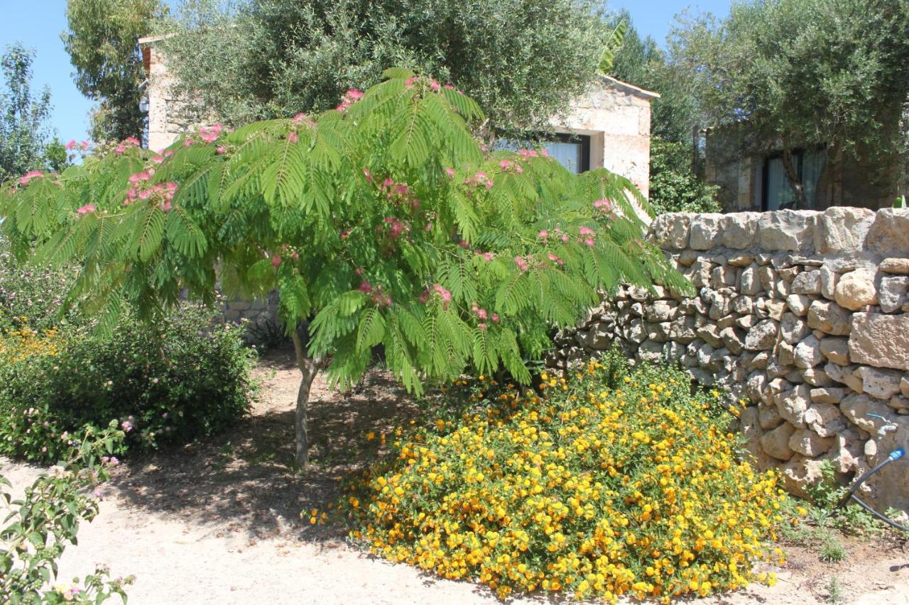 María de la Salud Agroturisme Es Raco De Maria מראה חיצוני תמונה