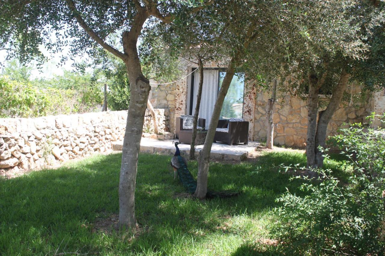 María de la Salud Agroturisme Es Raco De Maria מראה חיצוני תמונה