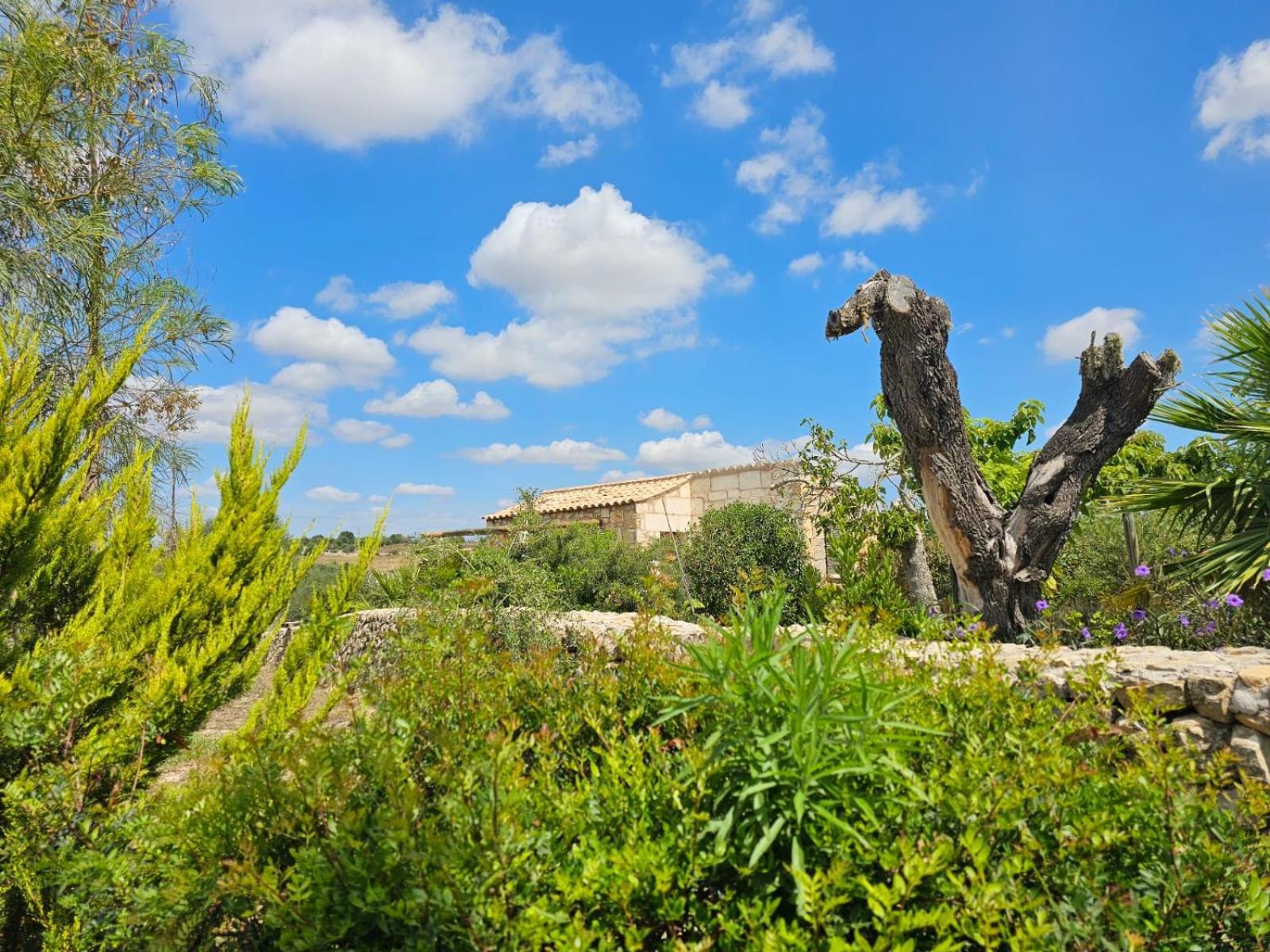 María de la Salud Agroturisme Es Raco De Maria מראה חיצוני תמונה