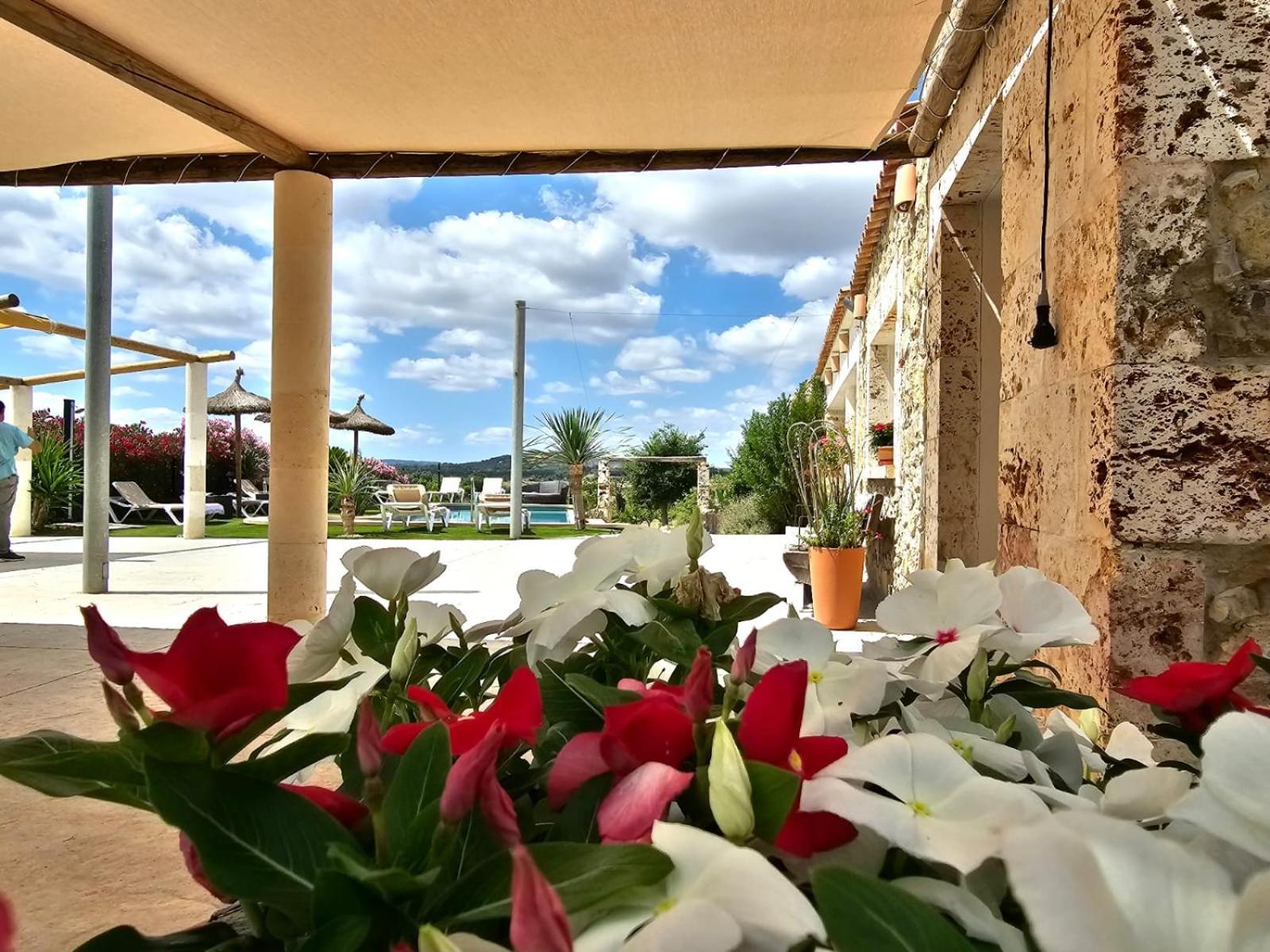 María de la Salud Agroturisme Es Raco De Maria מראה חיצוני תמונה