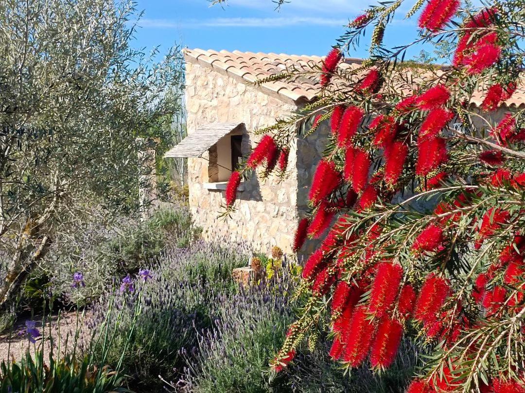 María de la Salud Agroturisme Es Raco De Maria מראה חיצוני תמונה